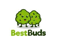 Best Buds image 9